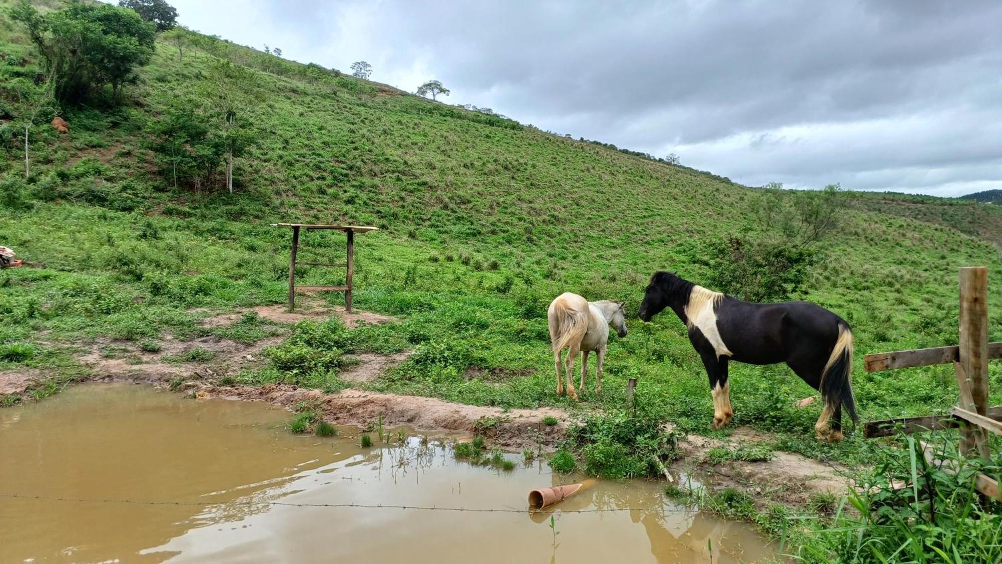 Sitio Reis Membeca Paraíba do Sul Exterior foto
