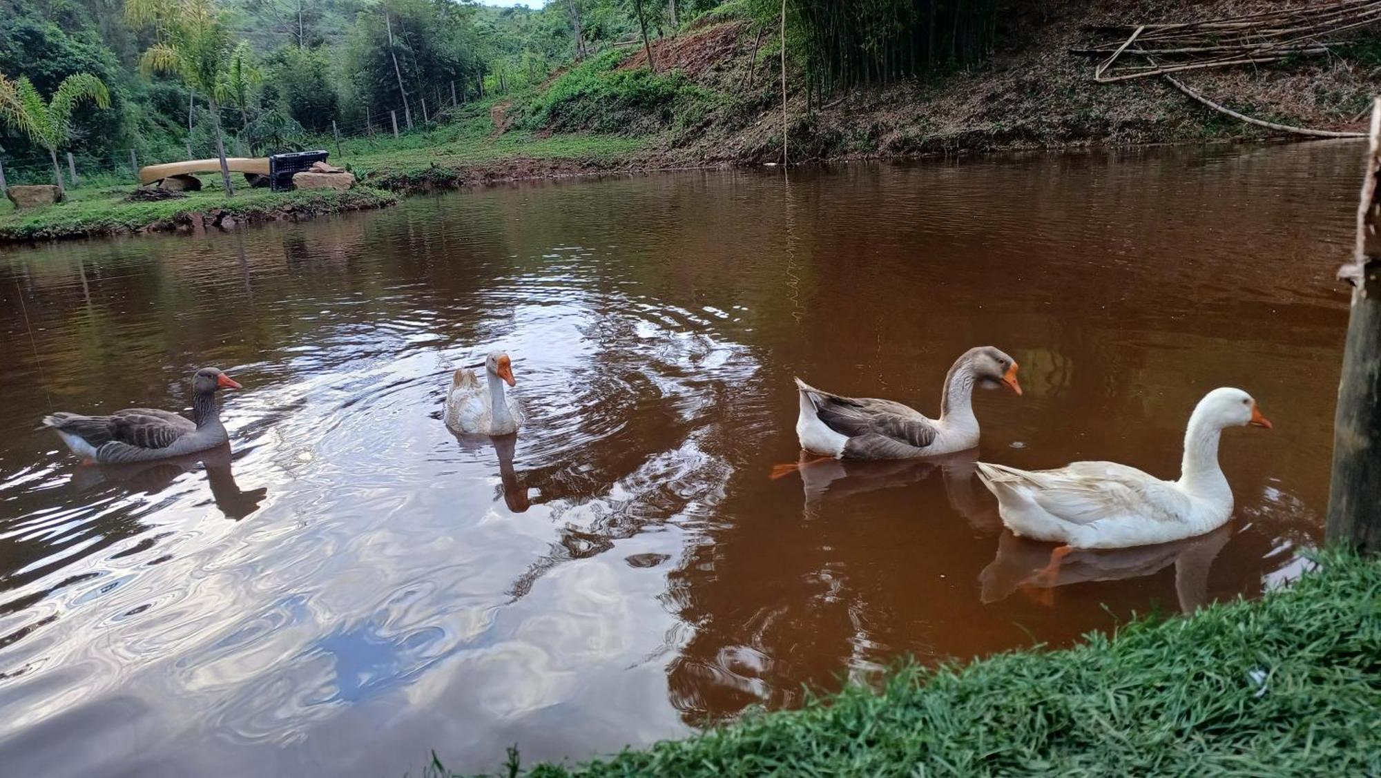 Sitio Reis Membeca Paraíba do Sul Exterior foto