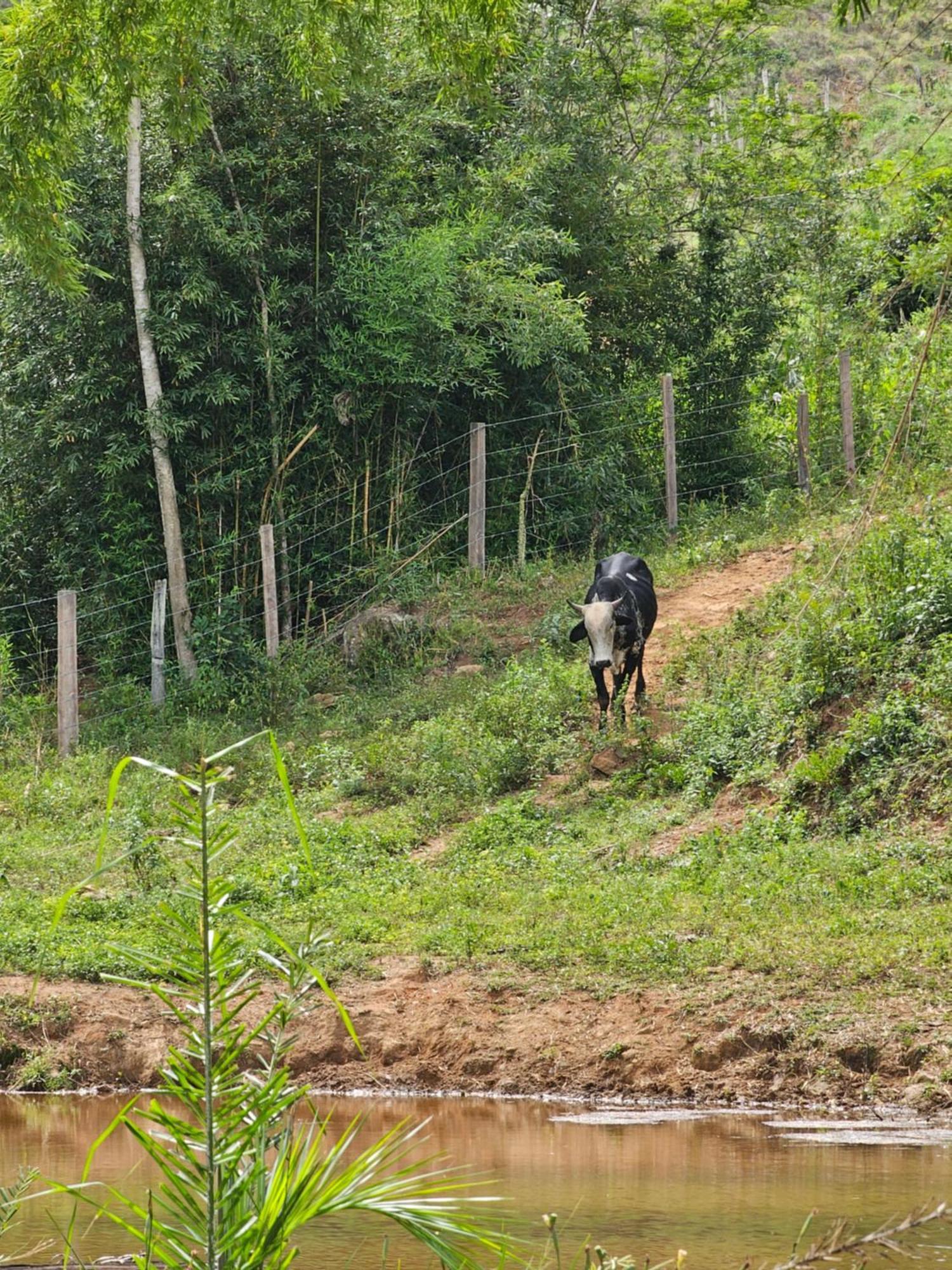 Sitio Reis Membeca Paraíba do Sul Exterior foto