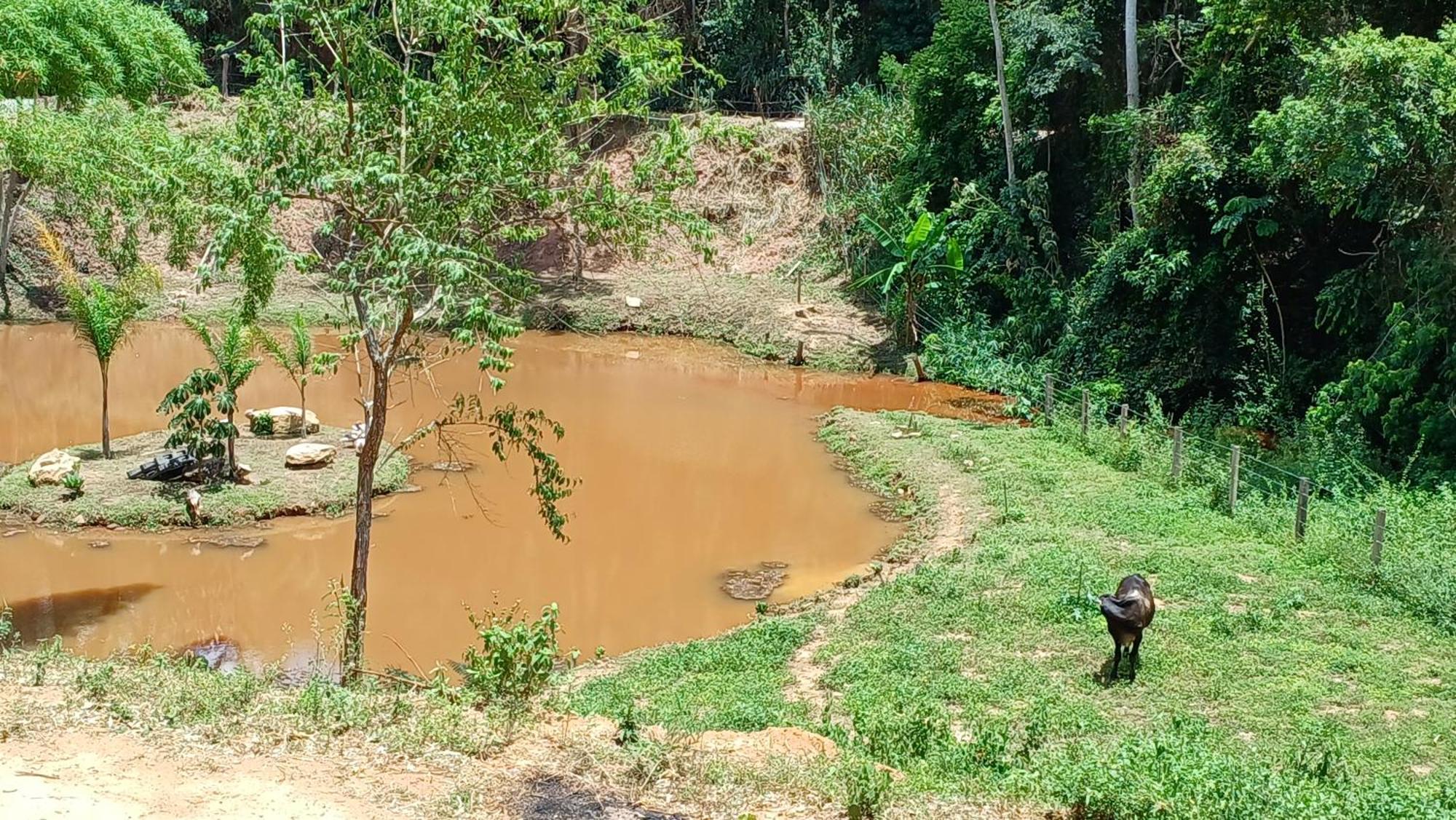 Sitio Reis Membeca Paraíba do Sul Exterior foto